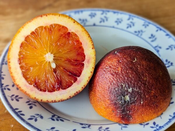 orange sanguine violette de la vallée, coupée en deux, une face chair, une face peau, posée sur une assiette blanche à petites fleurs bleues