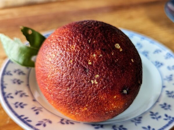 une orange sanguine à chair rouge foncé posée sur une assiette