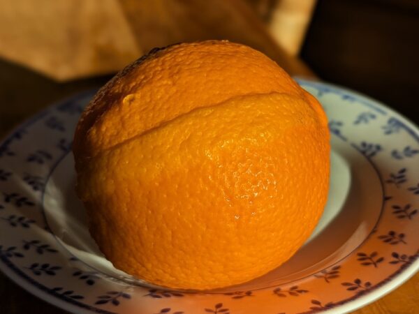 Fukumoto est la première orange navel à mûrir: en France vous pouvez la manger en octobre – précoce