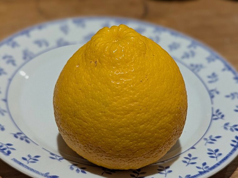 citrus-ambersweet-