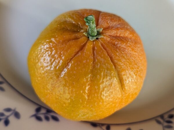 une mandarine sunburst sur une assiette