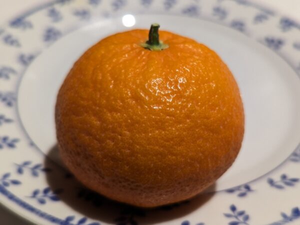 une mandarine nova posée sur une assiette blanche