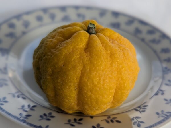 un fruit de Yuzu 30 sur une assiette