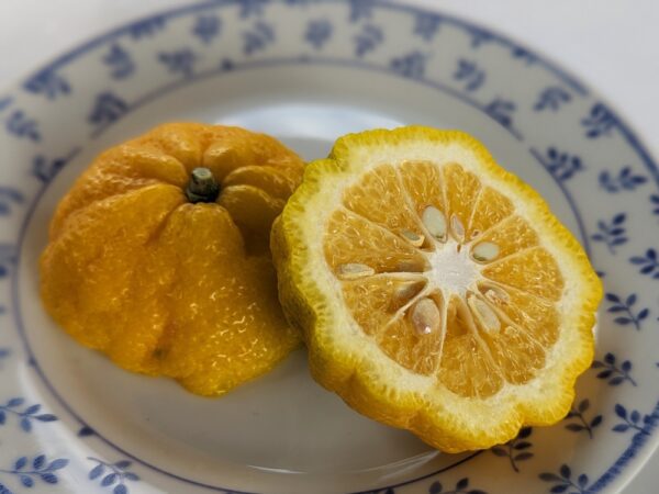 un fruit de Yuzu 30 coupé en deux sur une assiette