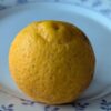 Citrus sphaerocarpa sur FA5, Citrus Kabosu, lime japonaise très résistante au froid