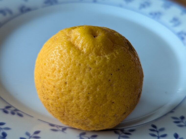 citrus-kabossu-26-1-2