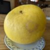 pamplemousse très gros sur une assiette