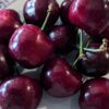 Cerises noirs burlat avec queue