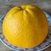 Un gros citrus maxima cocktail sur une assiette