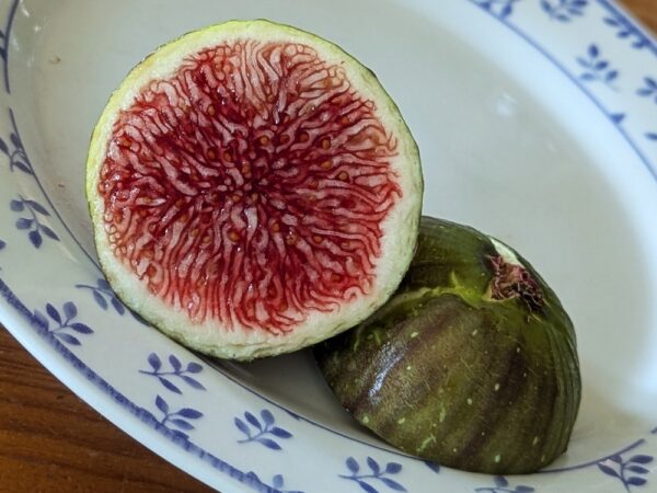 1 figue de ficus carica cavalière ouverte sur une assiette.