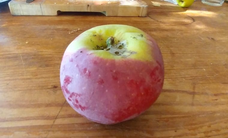 pomme-court-pendu-rouge