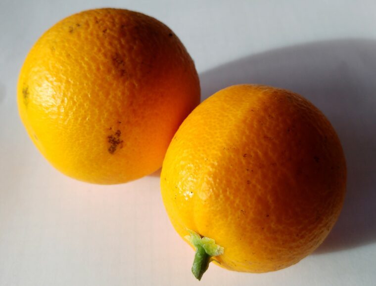 citrus-orange-gosset