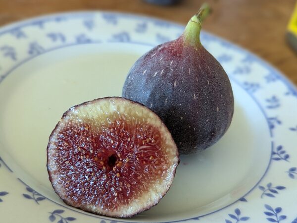 une belle figue mûre d'un ficus carica black jack coupée en deux sur une assiette, un côté chair, un côté peau