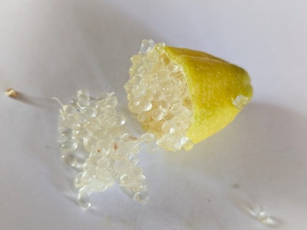citron caviar lune ouvert