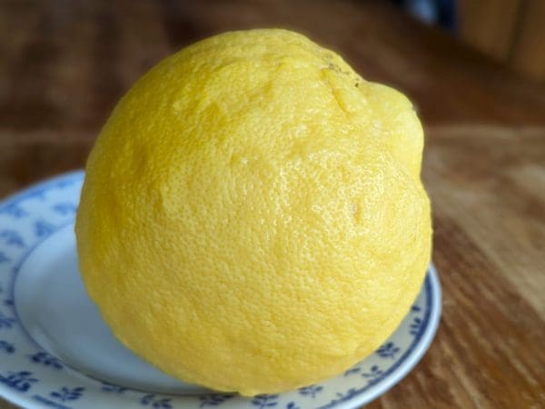 Citron rustique, pamplemousse Sotchi sur une assiette