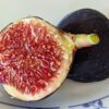 une figue mûre de ficus carica crosne, ouverte sur une assiette