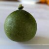 Une bergamote fantastico verte