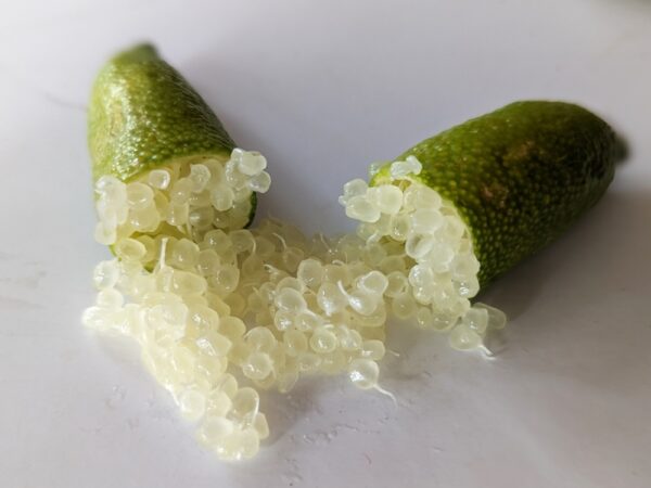 citron caviar vert ouvert avec les billes visibles