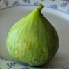 une figue Asali, ficus carica asali, verte à l'extérieur, sur une assiette
