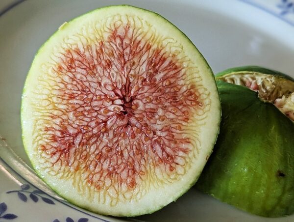 Une figue Asali coupé en deux, côté chair bien visible