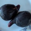 deux figues bleu Breba blue, mûres, sur une assiette