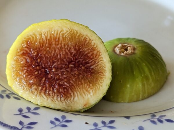 Une jolie figue jaune ficus carica excel coupé en deux