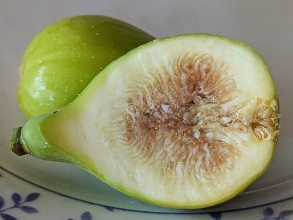 1 figue d'un figuier moscatel verde coupé en deux