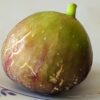 ficus carica pressac, figue bien mûre sur une assiette