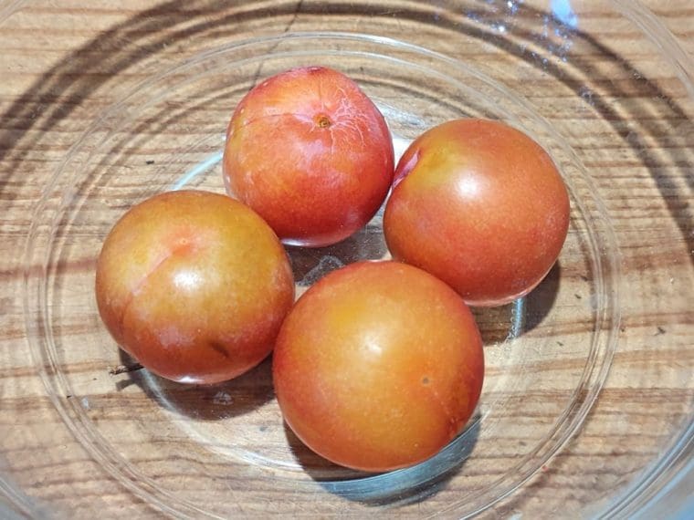 hybride-interspécifique-flavor-grenade