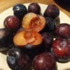 Prune angelino