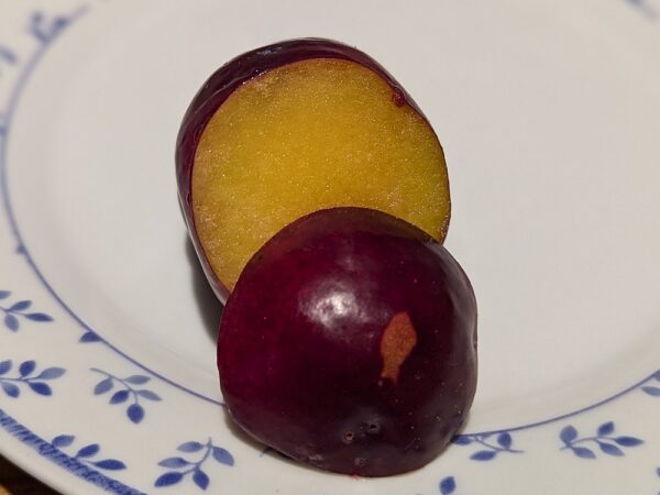 Une prune hybride flavor grenade bien mûr coupée en deux