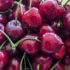cerises bigarreau hedelfingen avec queues
