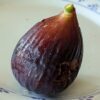 une figue bien mûr d'un ficus carica black genova sur une assiette