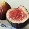 une figue bien mûr d'un ficus carica black genova coupée en deux sur une assiette un côté chair, un côté peau