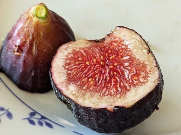 une figue bien mûr d'un ficus carica black genova coupée en deux sur une assiette un côté chair, un côté peau