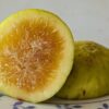 1 figue jaune doré ficus carica di tre volte - figuier 3 récoltes - ouverte sur une assiette