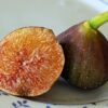 1 figue du figuier Nathasha, figue bleue, bien mûre, coupé en deux