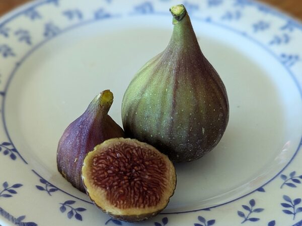 deux figues du ficus carica Samsun sur une assiette plus la moitié d'une figue coupé en deux
