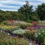 Conseils de jardinage