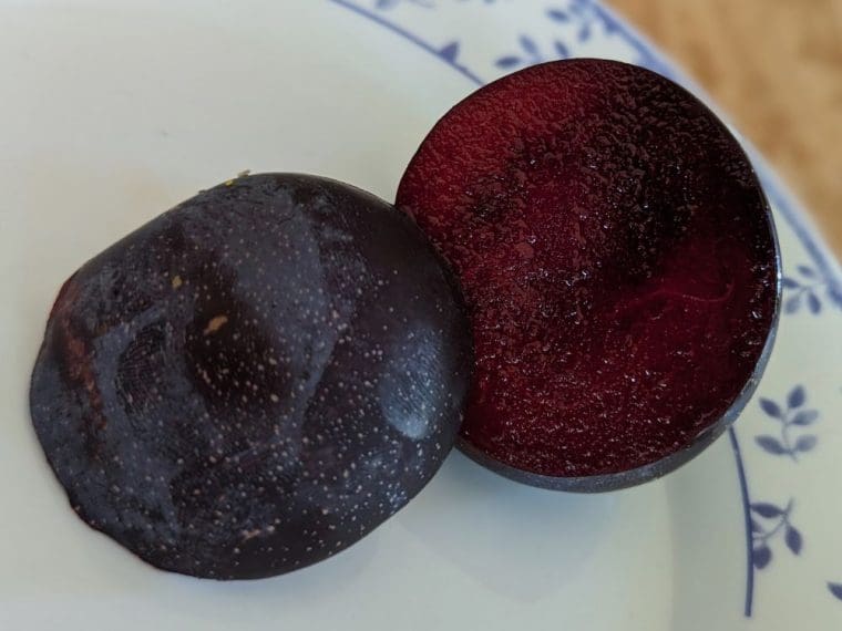 hybride-interspécifique