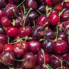 image pleine de cerises kormilica avec queue