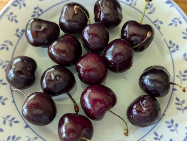 Cerises noirs Amourette sur assiette