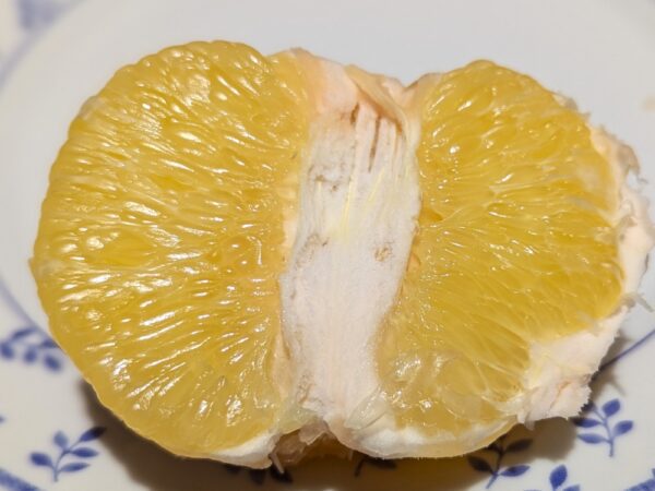 1 citrus Hassaku, coupé en deux, côté chair visible