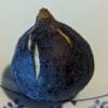 Fruit mûr du Figuier Swadi