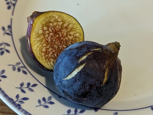 Ficus carica Swadi: Figue bleu , interieur ambré, coupé en deux, sur assiette