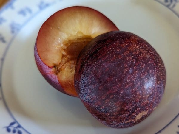 bonbon pourpre