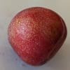 dapple dandy