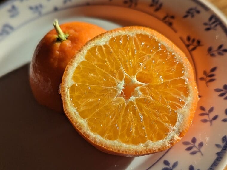 citrus-clementine-clemenruby-24-10