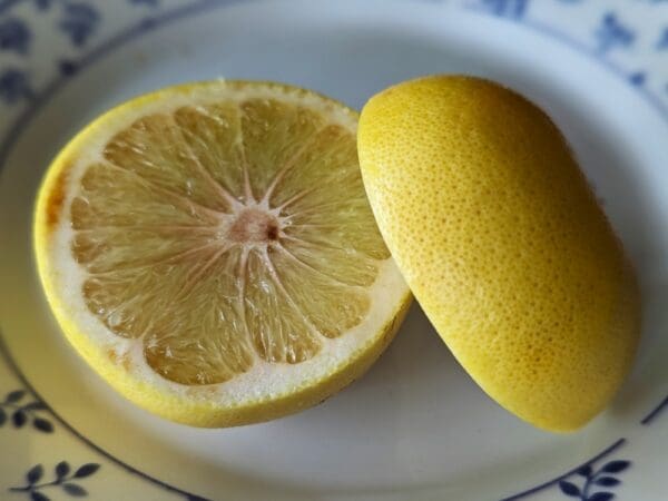 pamplemousse de bali