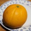 ORANGER PRECOCE